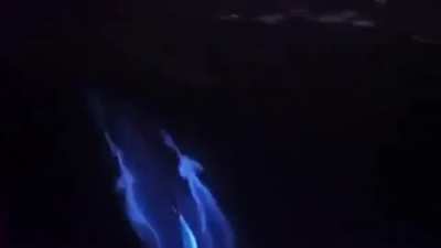 ? Magical view of dolphins glow in bioluminescence ocean