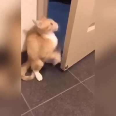 "Oh nooo! I'm out of here!"