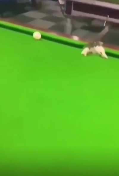 ball in the hole!?