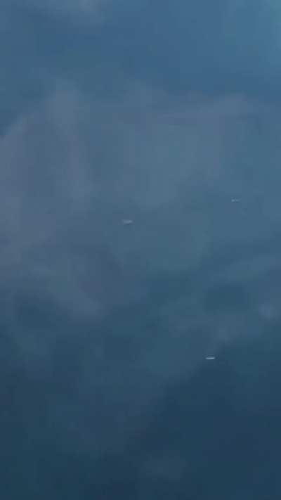 ? A pair of Oarfish swimming at the surface
