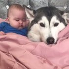 kid is so happy because he knows that one day he will eat this dog