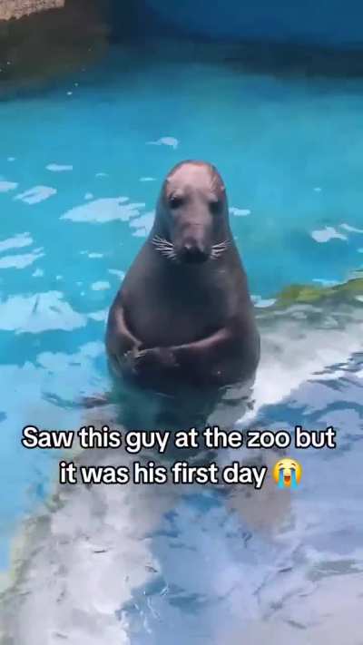 He's so shy ??