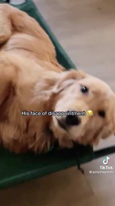 The look of betrayal