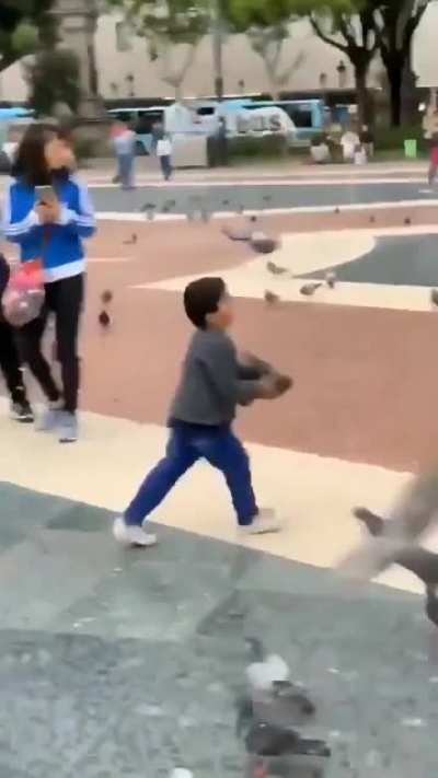 EAT PIGEON, LADY!!