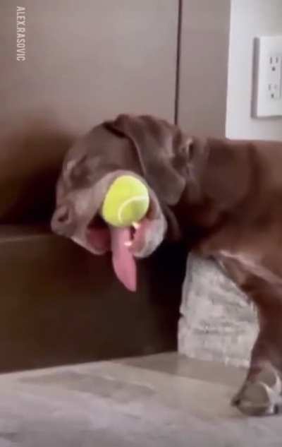When ball is life ?