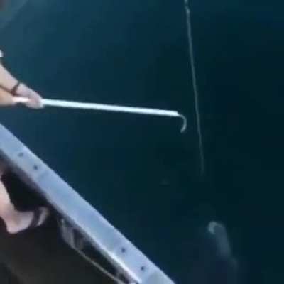 Catching a fish