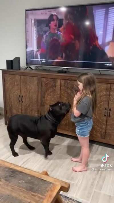 The dog she chose
