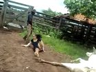 WCGW if I touch a cow giving birth