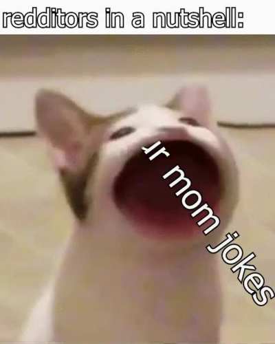 another redditors bad meme (sorry about the bad animation)