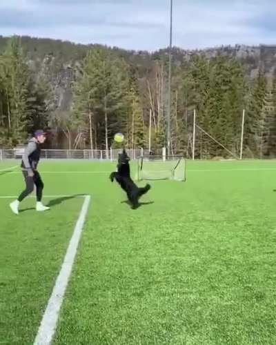 Better than me ?