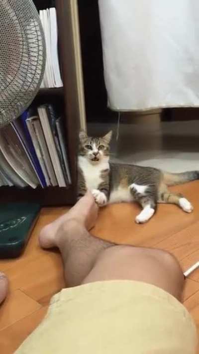 "My god man, doest thou ever wash thine feet?"