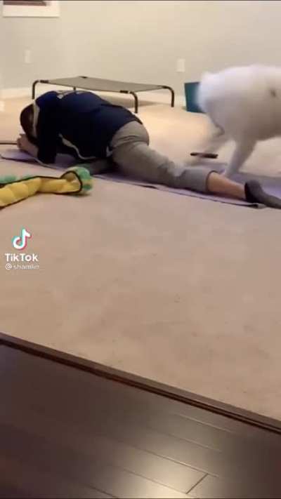 Can‘t stop watching this
