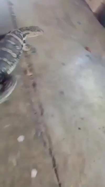 Maybe maybe maybe