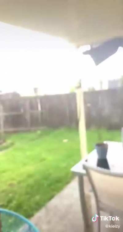 Zeus had it out for him (he Is ok)