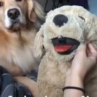 You can literally see the frustration grow, until he/she finally snaps