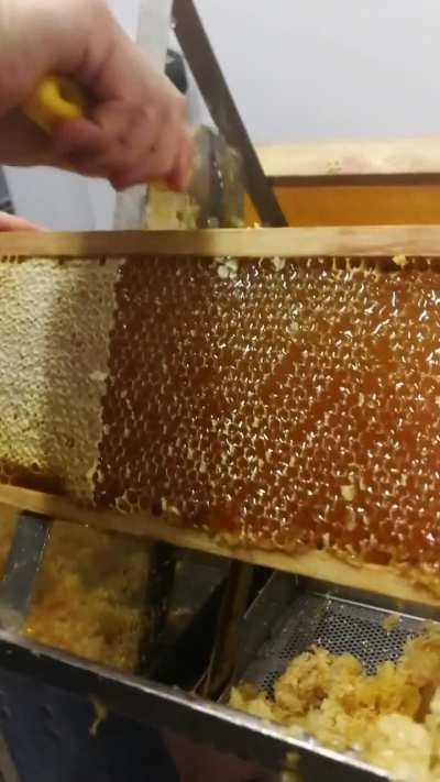Ripping of the honeycomb lid