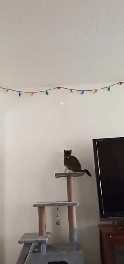 Didn’t think he’d jump for it?