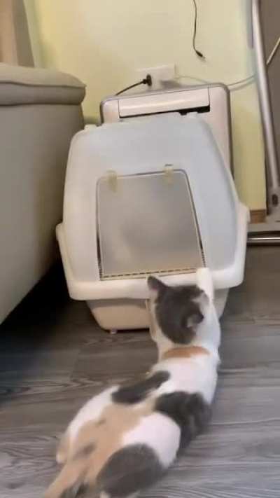 "Just stay there and enjoy your own shit!"
