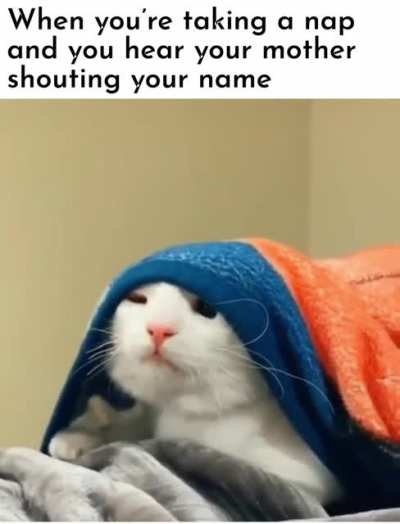 What did I do this time?