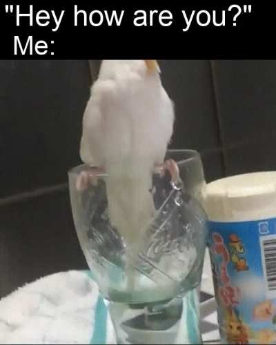 Visual representation of how its going