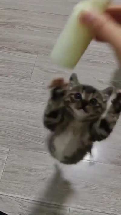 Smol and hangry