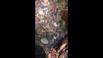 River water over rainbow gravel.