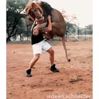 A real friendship with a lion