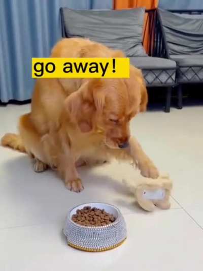 "I suddenly feel hungry..."
