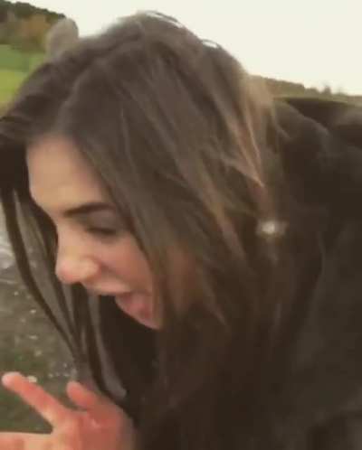 Blowing dandelions