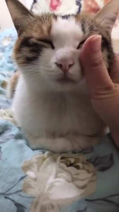 When you accidentally hit the off button