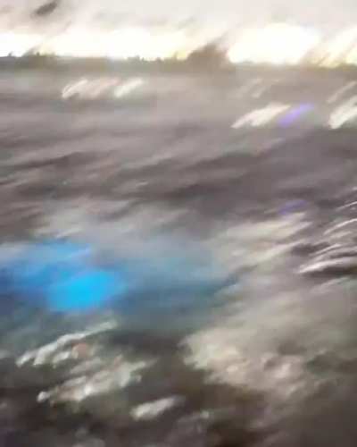 Messing around in bioluminescent algae in Maldives