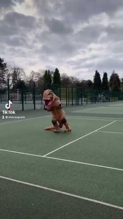 Check out this Tyrannosaurus Tennis champ on YouTube ?