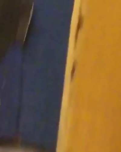 Enormous rat in the NY Subway