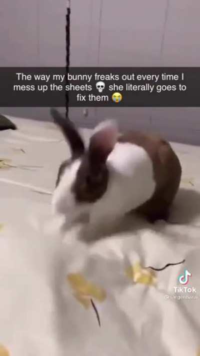 You unkempt piece of shit