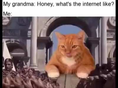 We basically worship cats here