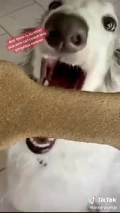 Ah yes, mr. Borzoi