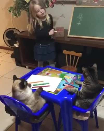 Students in class