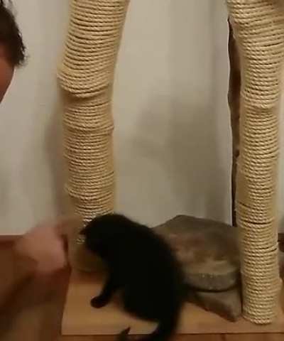 Maybe maybe maybe