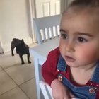 Kid claims a burglar broke in and ate their cakes