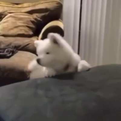 nobody saw that, ok??