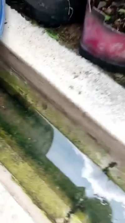 The sewer was clogged