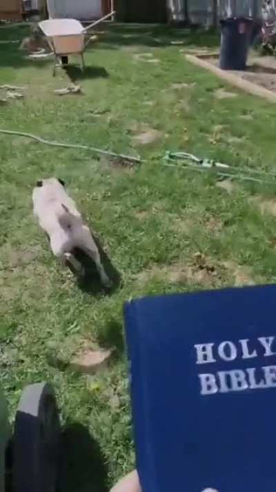 Don't run from the Lord