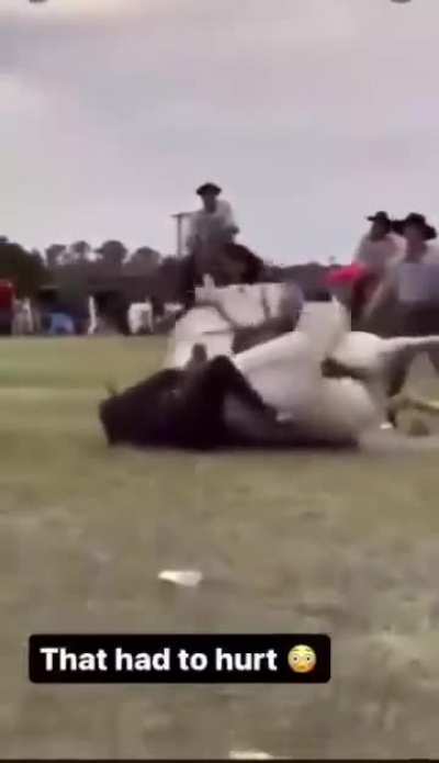 Horse had enough