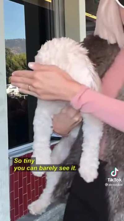 Videos that make you ?