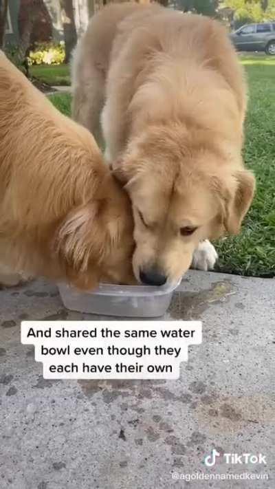 I’m not crying you’re crying ?