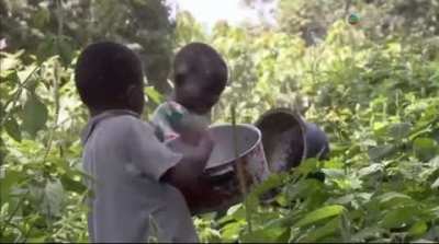 People in Africa catching,cooking mosquito burgers