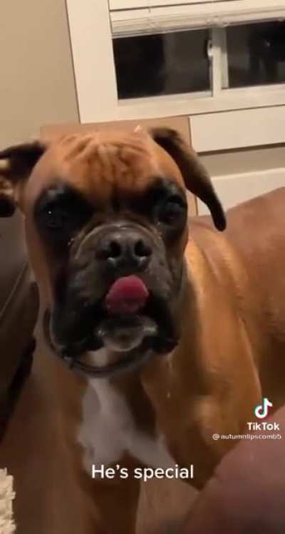Infinite blep
