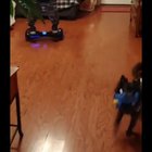 Hoverboard over a bump