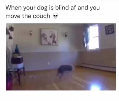 He got a glitch