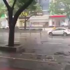 Just another rainy d—HOLY SH**!